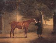 Mr Wombell's Hunter with a Groom in a Courtyard